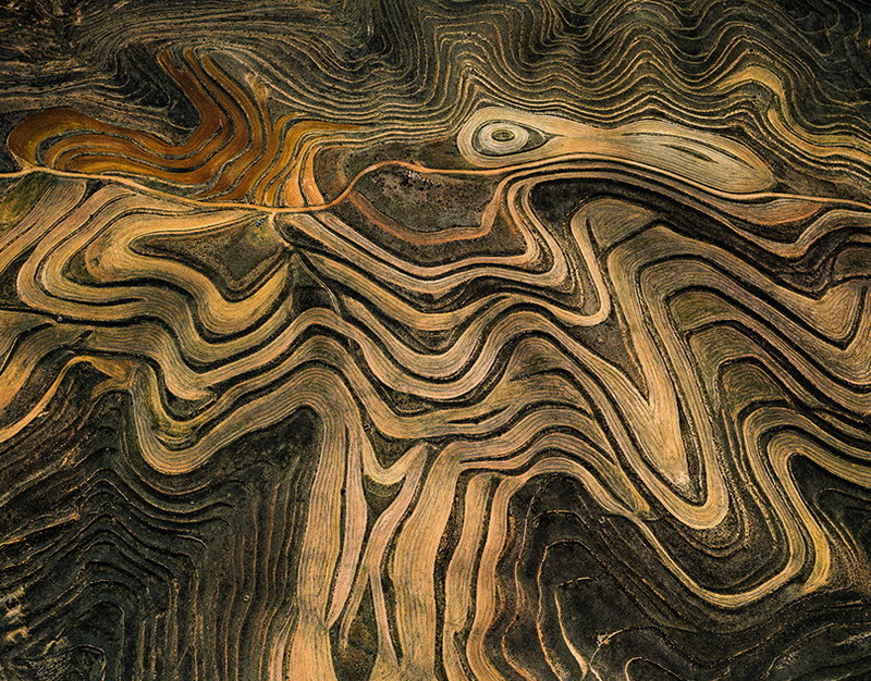 Huawei Nova 15 Pro получит двойную фронтальную камеру